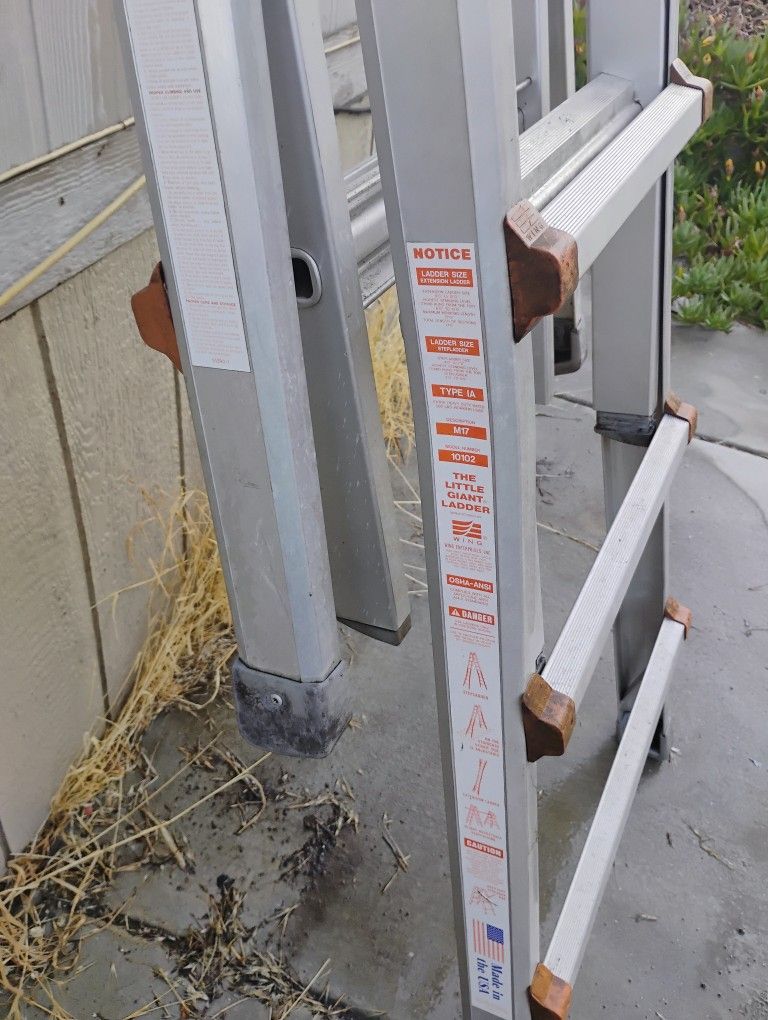 Little Giant Ladder 