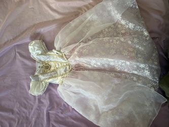 Disney Princess/Other Costumes