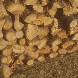 Firewood Seasoned Oak 