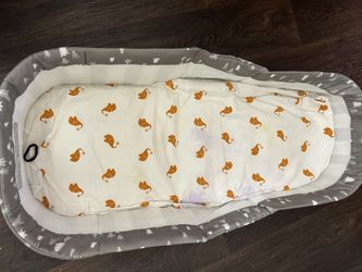 Foldable Travel Carry Bassinet