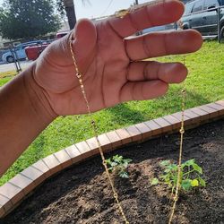 22 Inch Mini Valentino 