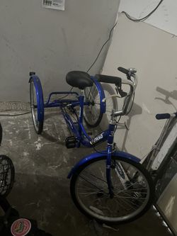 Adult Beach Cruiser Tricycle