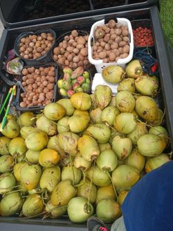 Coconuts 2$ mangoes, and sapodilla