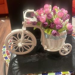 Beautiful Plastic Try cycle With Flower S