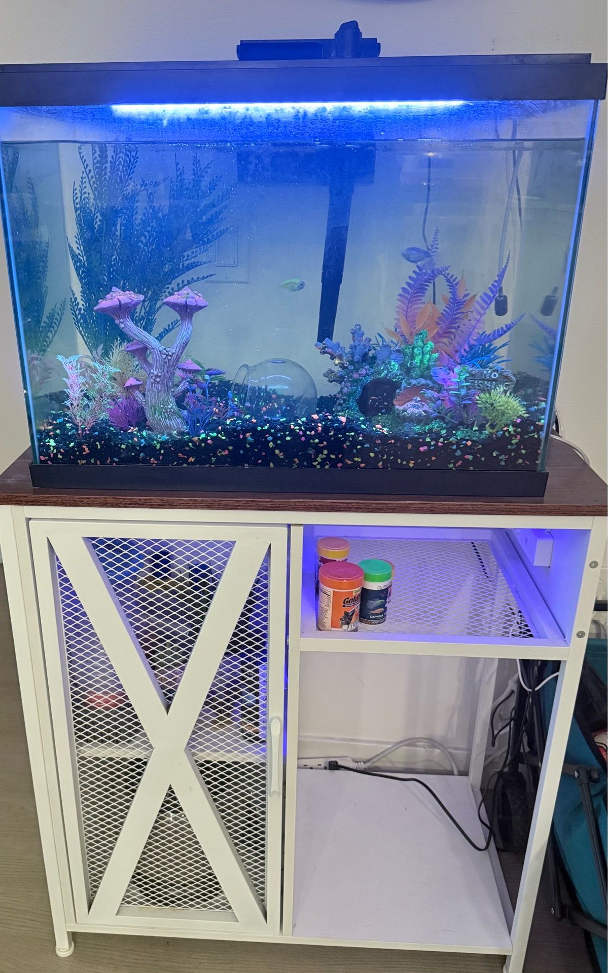 Fish tank