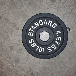 10 Pound Plate 