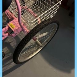 Adult Trike