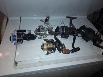 Freshwater And Saltwater Fishing Reels