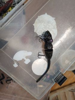 Top water mouse lure