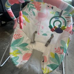 Baby Bouncer