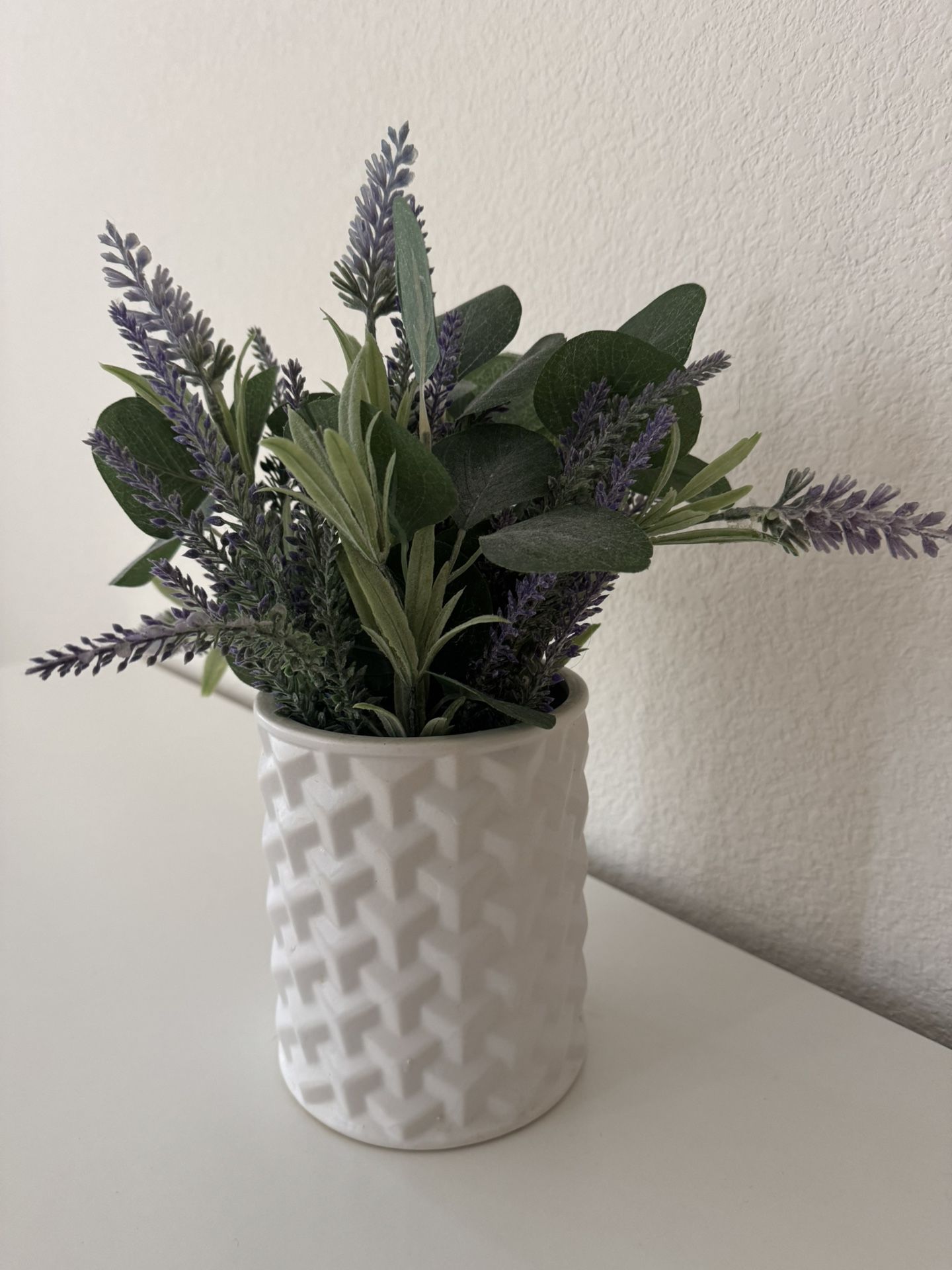 Lavender Plant