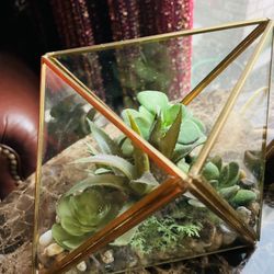  Geo Metal and Glass Terrarium, With Artificial Succulents
