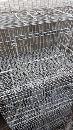 Bird Cages
