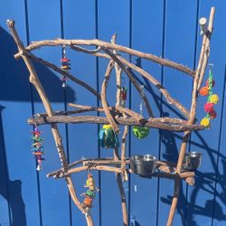Parrot Perch Tree… African Grey / Amazon Fun Time … A Great Socializer!! 