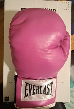 Pink Everlast Boxing Kit