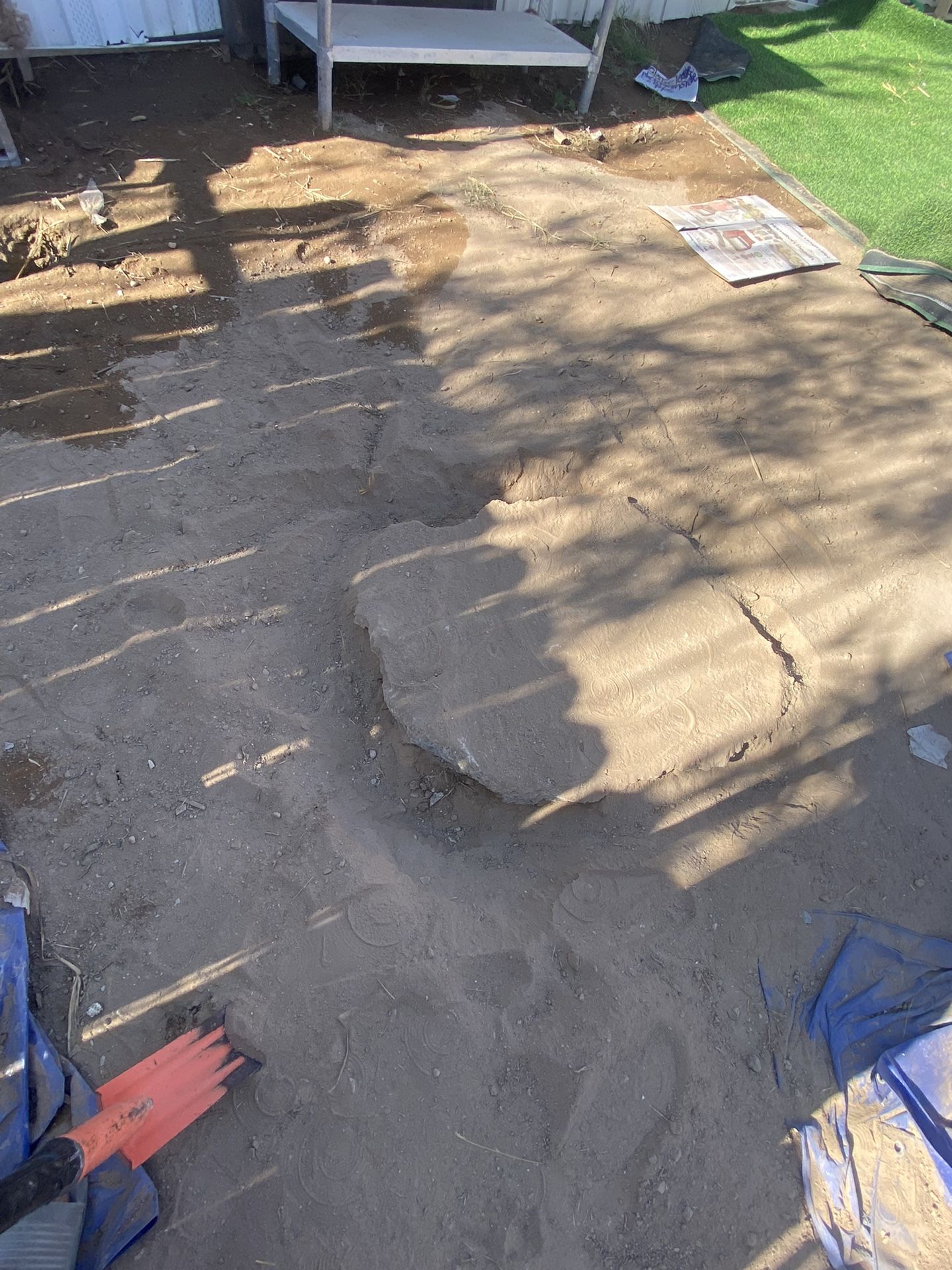 Stump Removal Needed