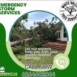 Emergency Tree Remove 