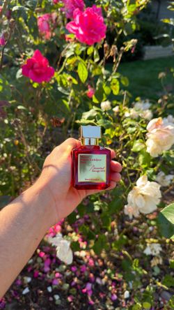 Baccarat Rouge 540