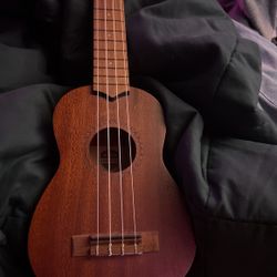 Ukulele 