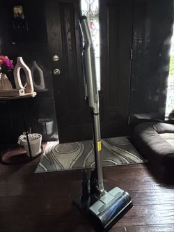 Shark Wanda Vac pet (green)