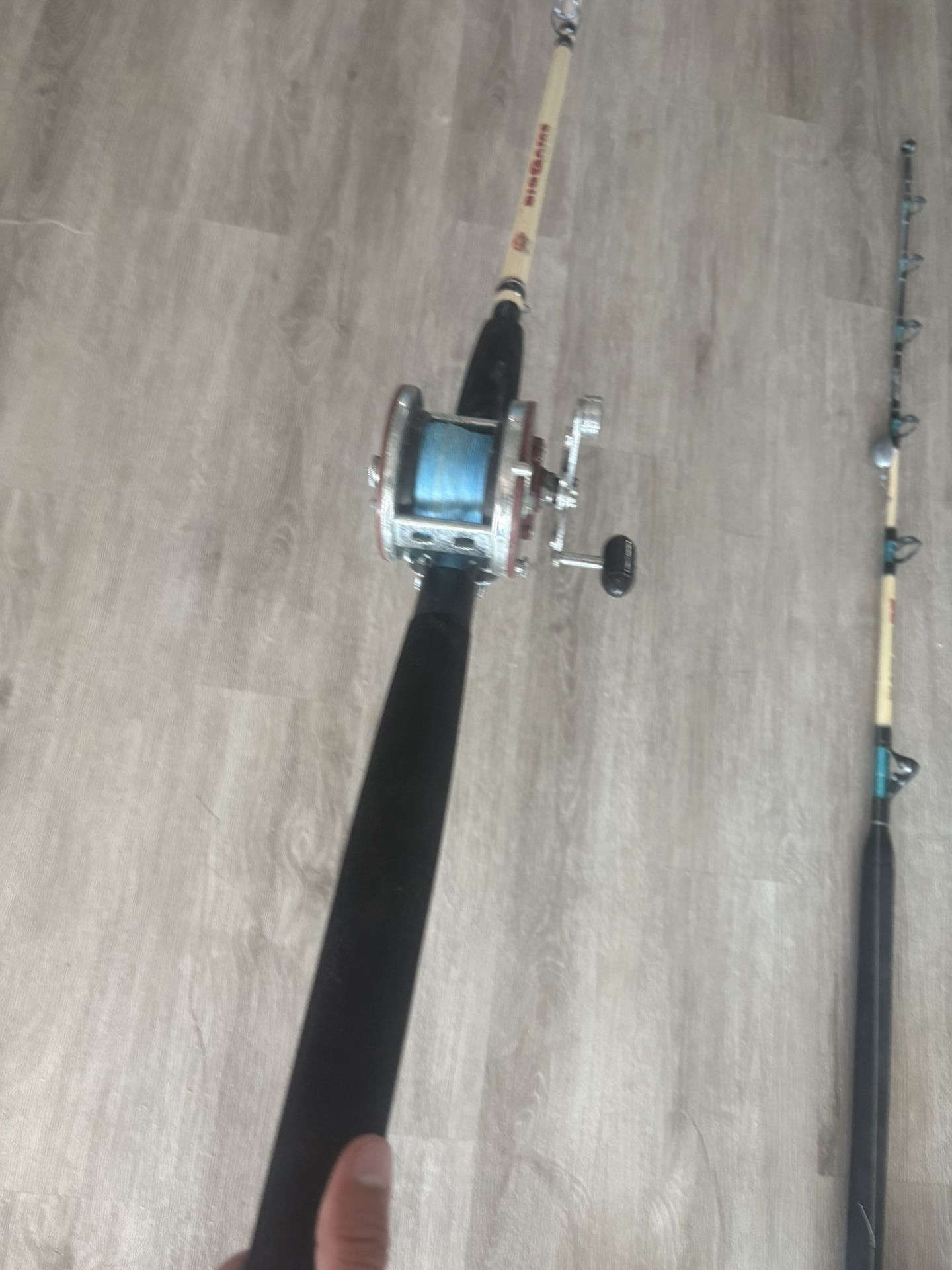 Fishing Rod