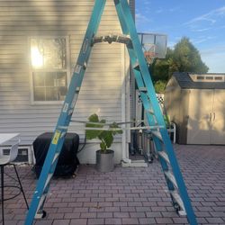10 Ft Werner Ladder 
