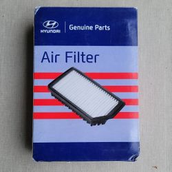 Hyundai Elantra GT 2017 - 2020 Genuine Engine Air Filter 28113 F2000 New