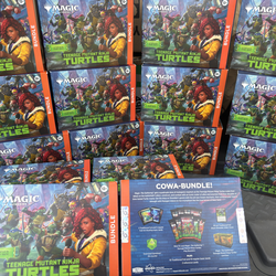Teenage Mutant Ninja Turtles - Bundle - Teenage Mutant Ninja Turtles (TMT)