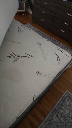 Queen Mattress