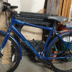 Bike (Felt Veza City 2)