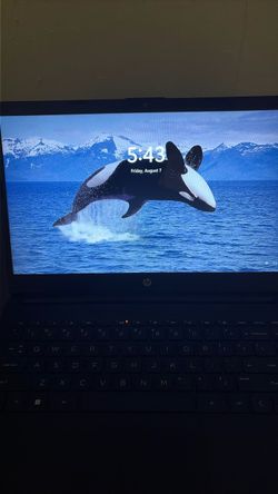 Hp windows 11