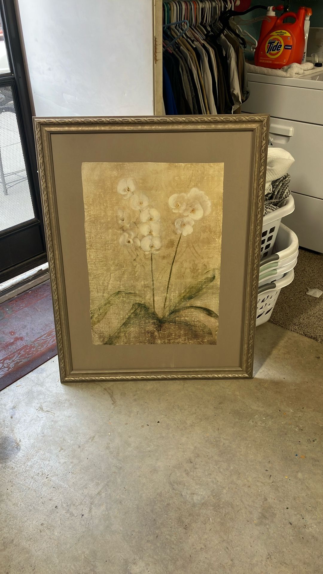 Two very nice pictures with very nice picture frames