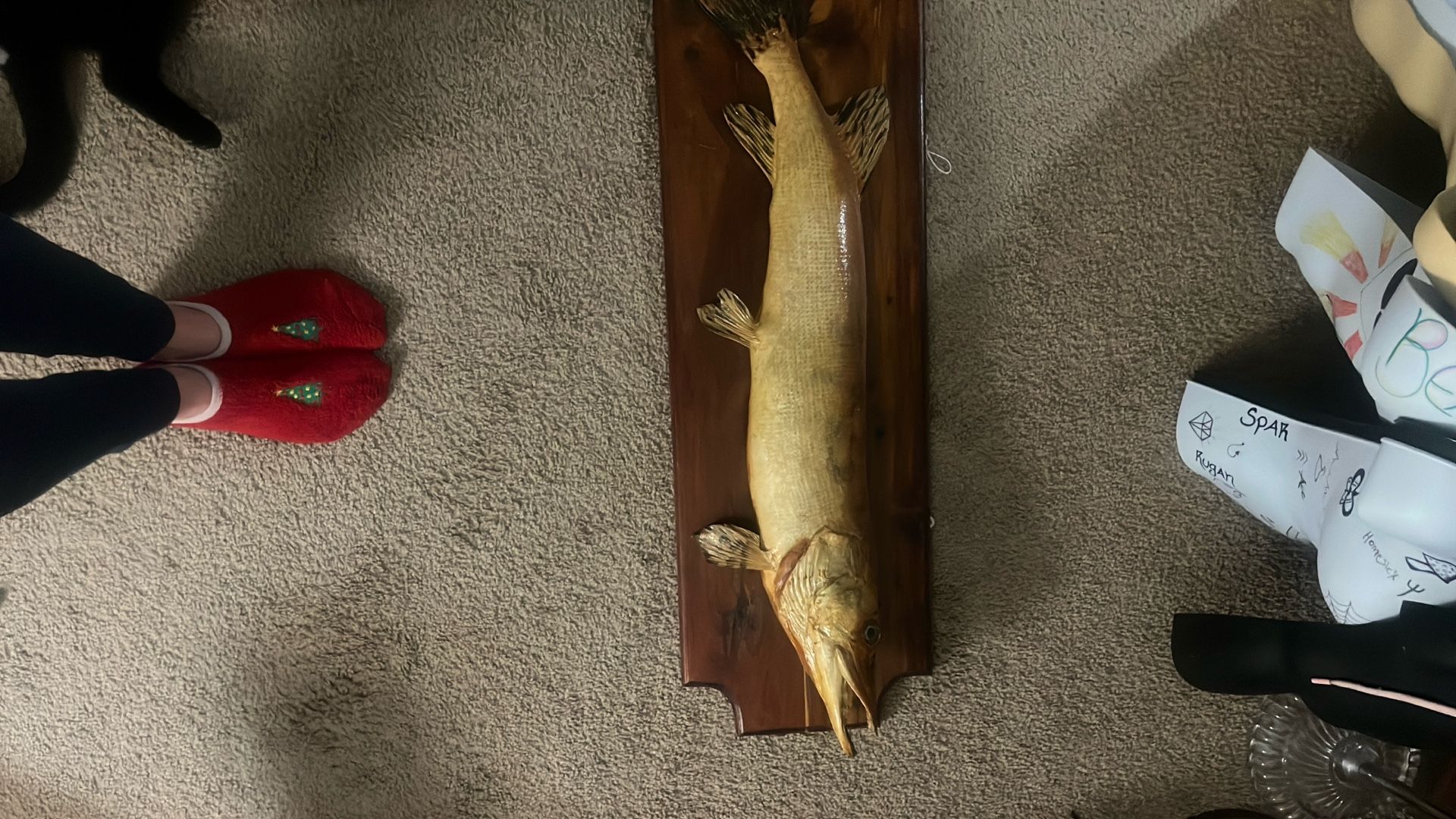 Real Skin Mount Fish