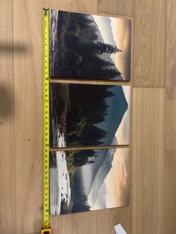 Mountain Forest Landscape Triptych Canvas Prints