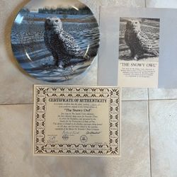 The Snowy Owl Decorator Plate 