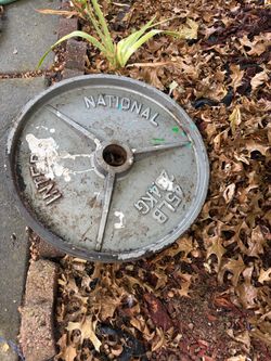 Weight