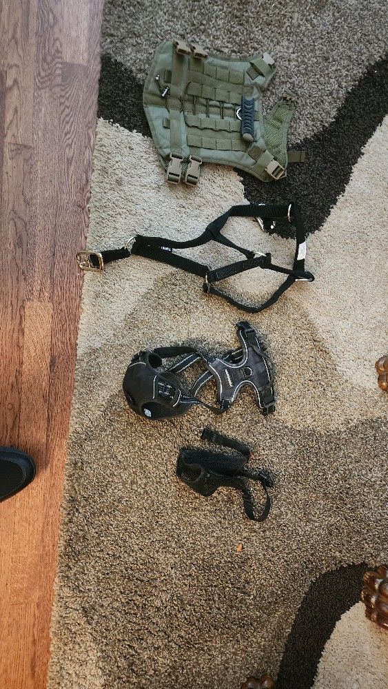 Dog Harness(3), Muzzle