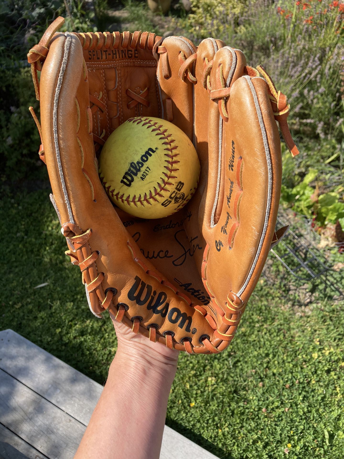Wilson Softball or Baseball Glove