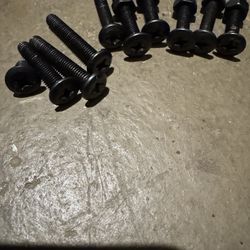 PHILLIP SCREWS  with  NUT CAP
