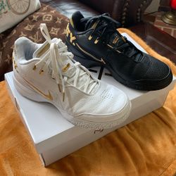 11.5 LeBron NXXT Gen Leather Pair  
