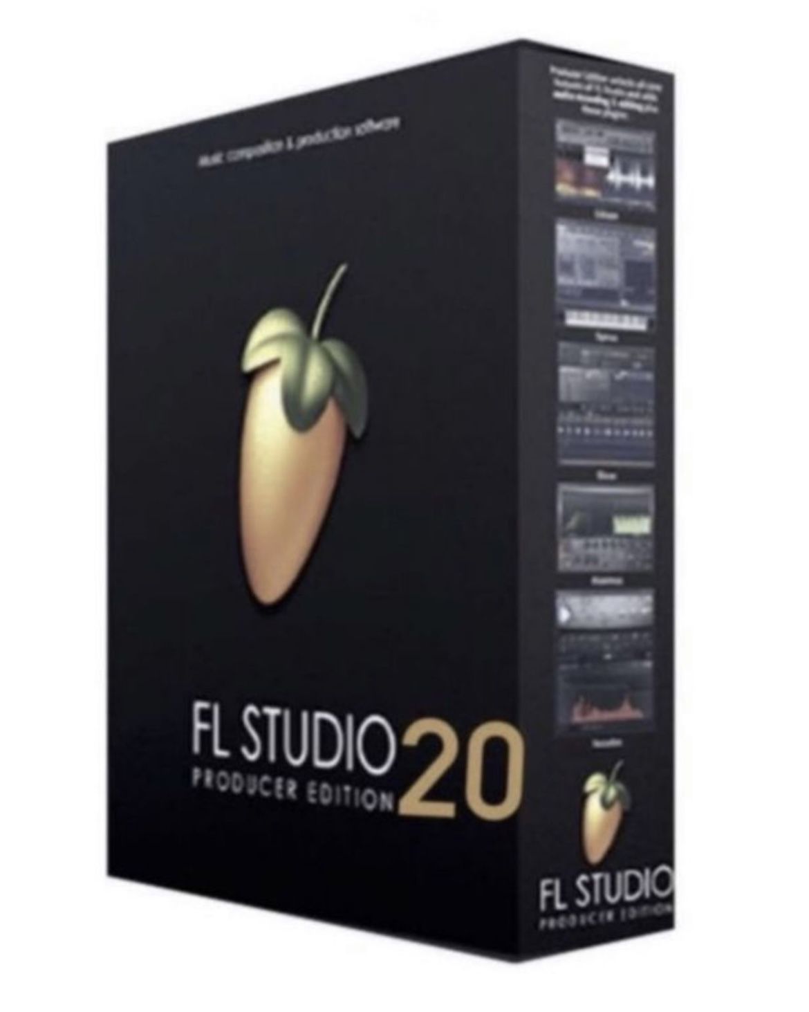 FL Studio 20 Producer Edition - Fruity Loops 🎹🎧