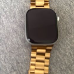 46mm New Apple Watch Mint *