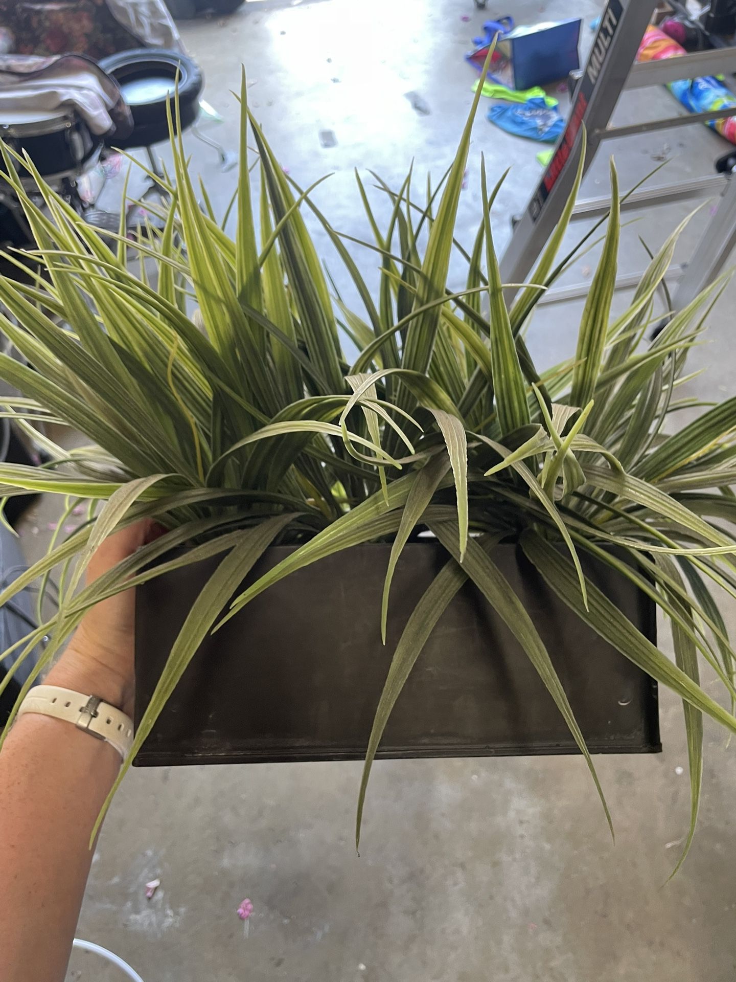 Bluetooth Speaker Plant