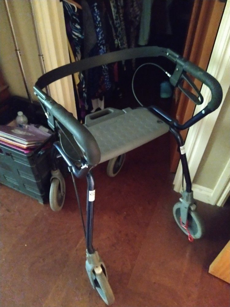 Dolomite Walker for Sale in Edgewood, WA OfferUp