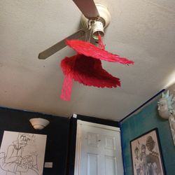 Red Wings