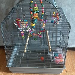 Bird Cage 