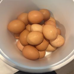 Eggs