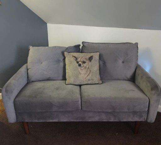 Gorgeous Grey Velvet Loveseat $100