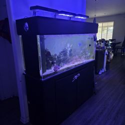 Tank 150g Read Descrip