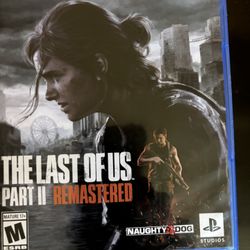 The Last Of Us 